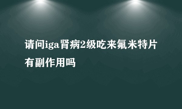请问iga肾病2级吃来氟米特片有副作用吗