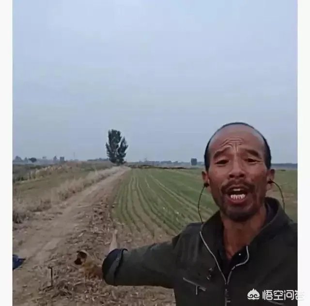 本亮大叔为什么会出名呢?
