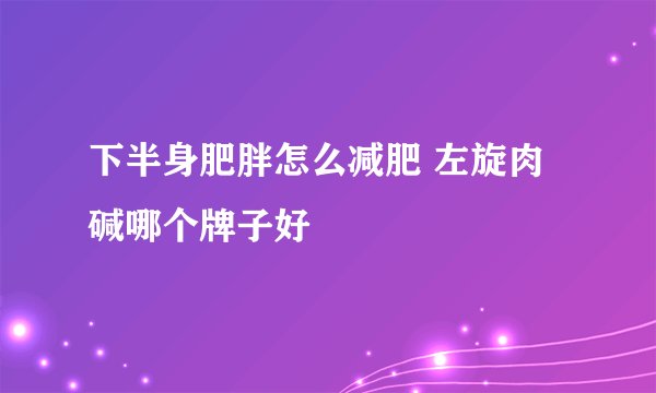 下半身肥胖怎么减肥 左旋肉碱哪个牌子好