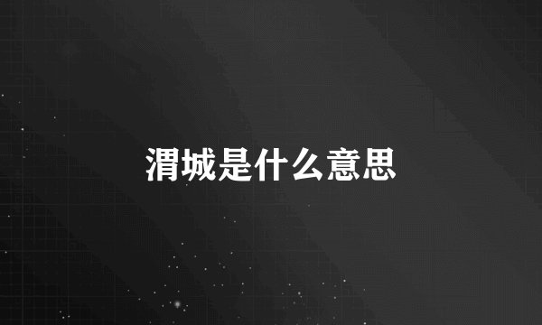 渭城是什么意思