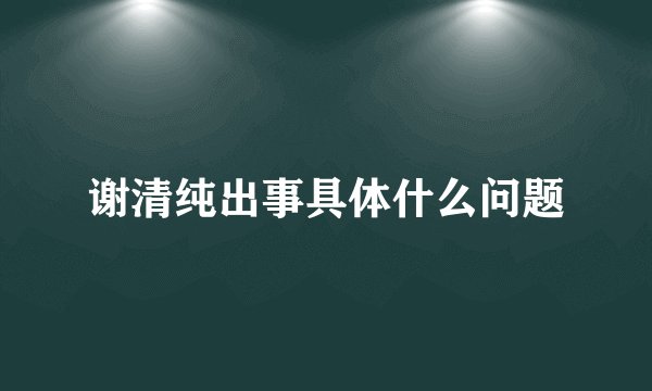 谢清纯出事具体什么问题