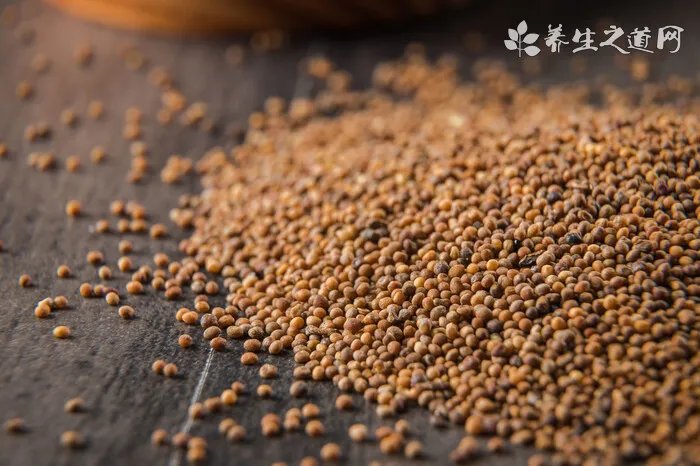 清明节为什么要插柳?清明节插柳枝的意义?