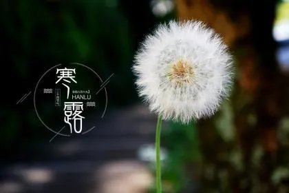 2020年寒露是几月几日几时几分?2020年寒露温度大约是多少度?