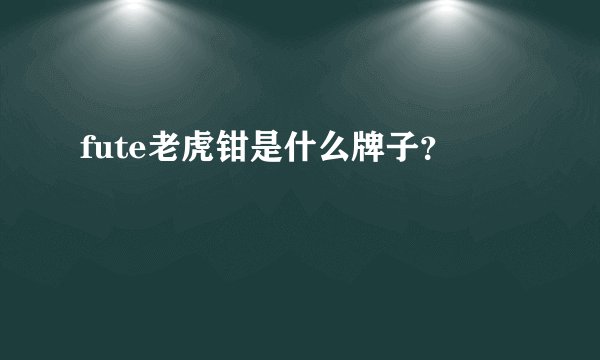 fute老虎钳是什么牌子？