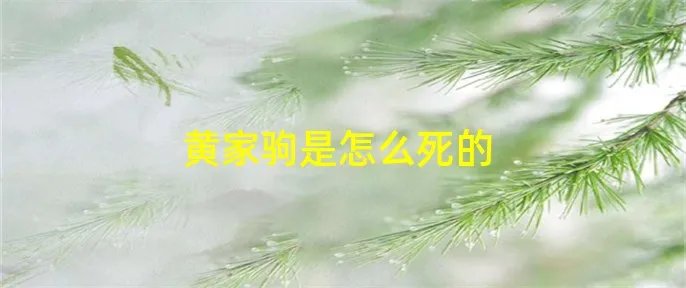黄家驹是怎么死的