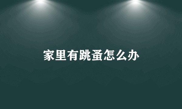 家里有跳蚤怎么办