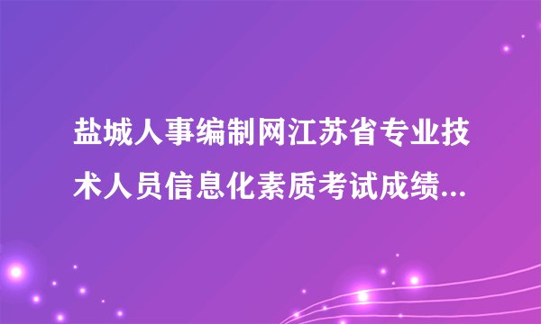 盐城人事编制网江苏省专业技术人员信息化素质考试成绩哪里查询？