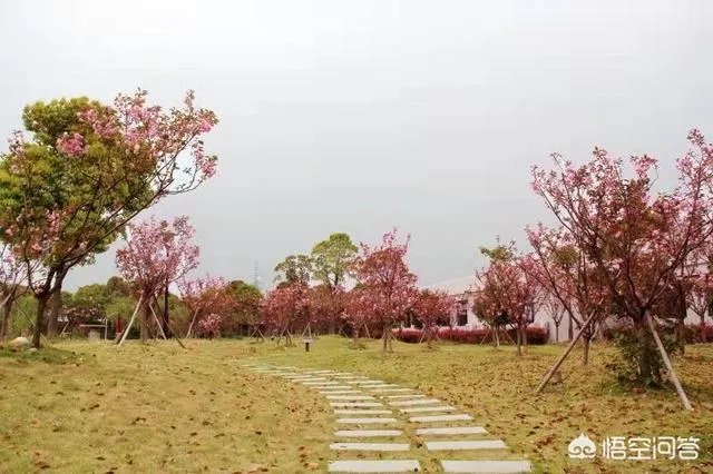 华中科技大学的自动化专业怎么样?就业和薪酬前景如何?