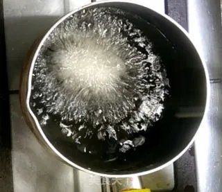 炸鲜奶