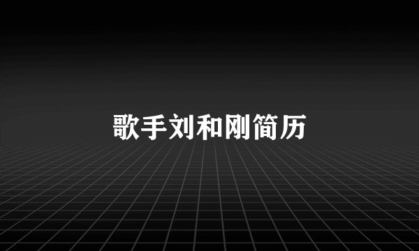 歌手刘和刚简历