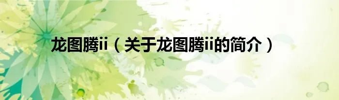 龙图腾ii（关于龙图腾ii的简介）
