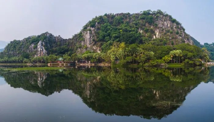 广东四小虎是哪四个城市 广东四小虎是哪几个城市