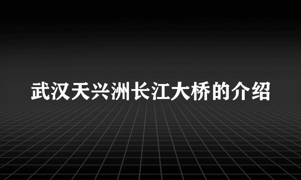 武汉天兴洲长江大桥的介绍