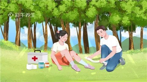 骨折后吃什么