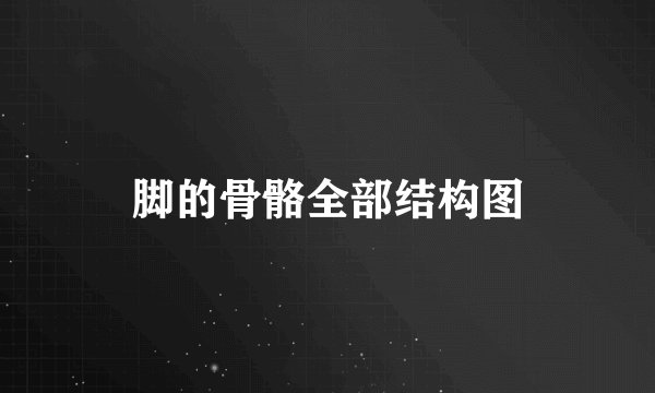 脚的骨骼全部结构图