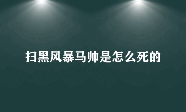扫黑风暴马帅是怎么死的