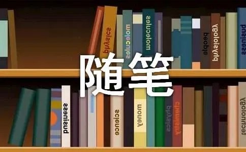 随笔作文800字