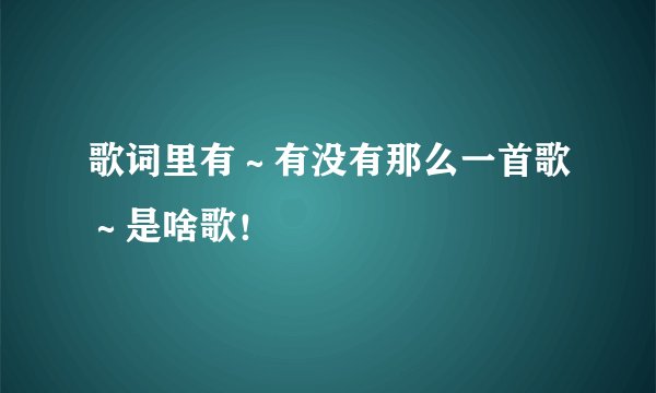 歌词里有～有没有那么一首歌～是啥歌！