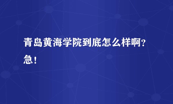 青岛黄海学院到底怎么样啊？急！