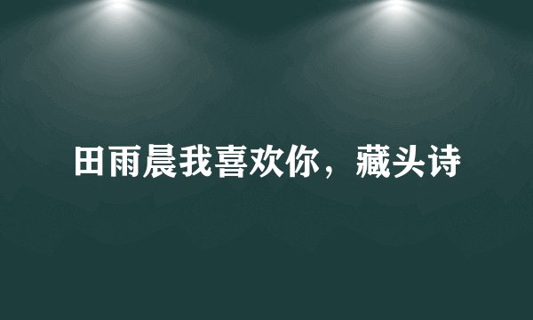 田雨晨我喜欢你，藏头诗