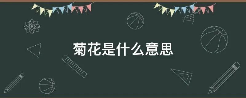 菊花是什么意思