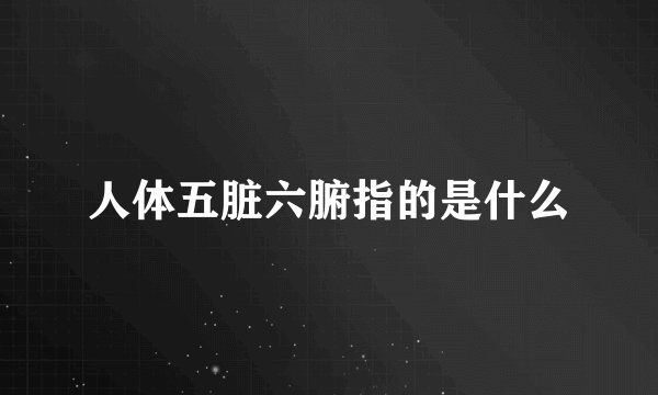 人体五脏六腑指的是什么