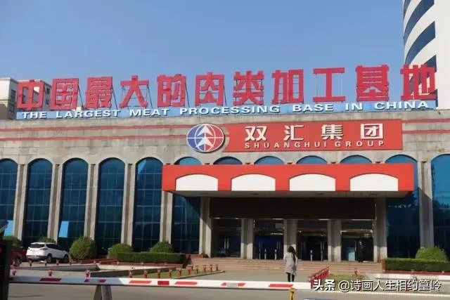 沈瑞芳漂亮吗