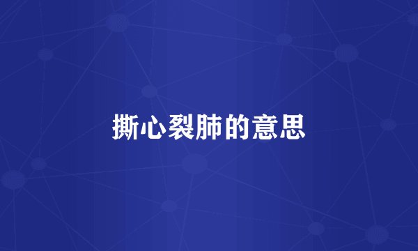 撕心裂肺的意思