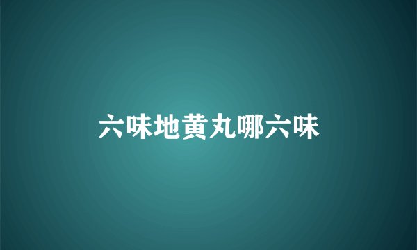 六味地黄丸哪六味