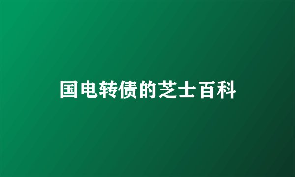 国电转债的芝士百科