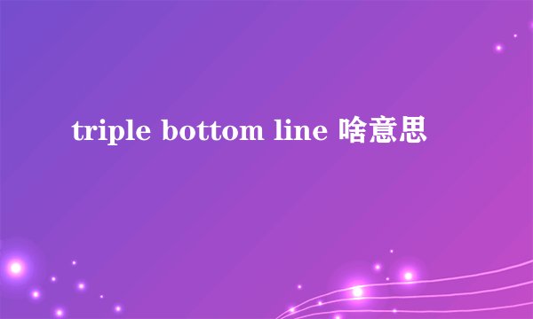 triple bottom line 啥意思
