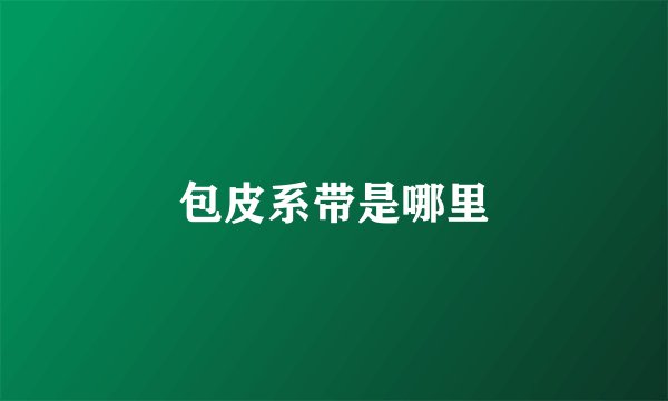 包皮系带是哪里