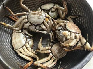 蟹酿橙