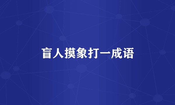 盲人摸象打一成语