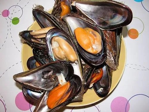 淡菜图片大全