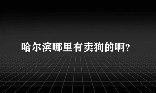 哈尔滨哪里有卖狗的啊？