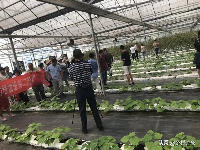 农业科技人才