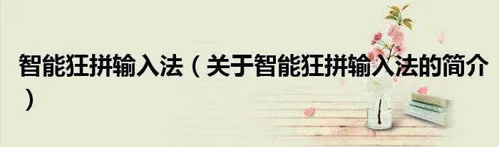 智能狂拼输入法（关于智能狂拼输入法的简介）