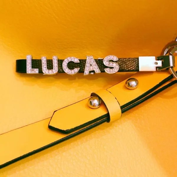 LUCAS 是什么意思?