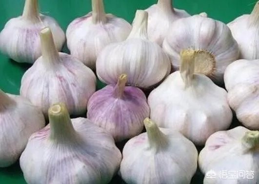 大蒜种植用什么肥料?