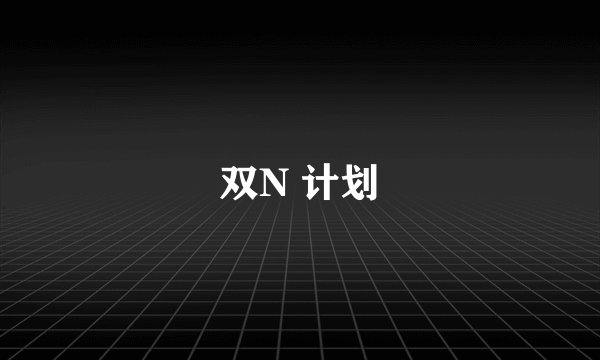 双N 计划