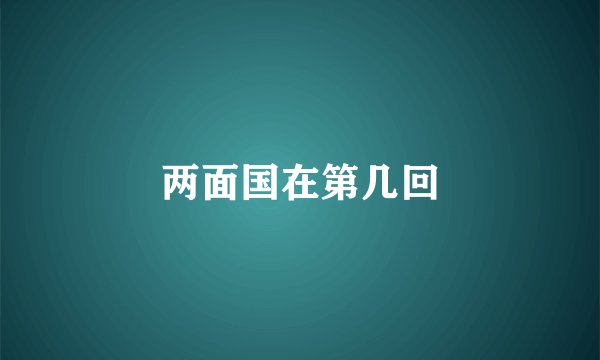 两面国在第几回