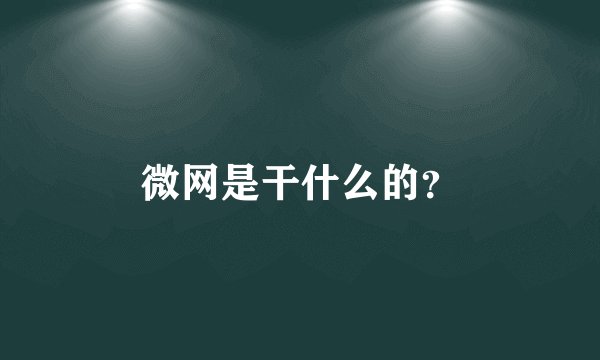 微网是干什么的?