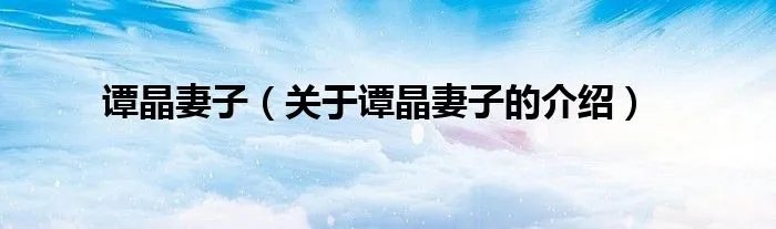 谭晶妻子（关于谭晶妻子的介绍）