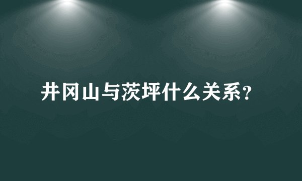 井冈山与茨坪什么关系？