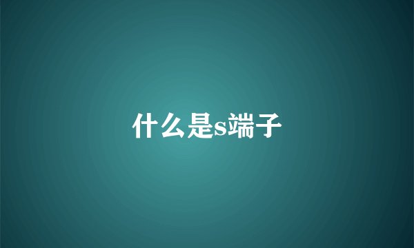 什么是s端子