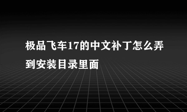 极品飞车17的中文补丁怎么弄到安装目录里面