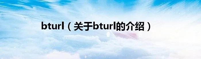 bturl（关于bturl的介绍）