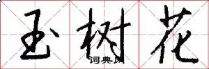 玉树花