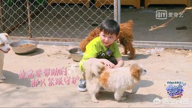 邓莎家的大麟子你们喜欢吗?